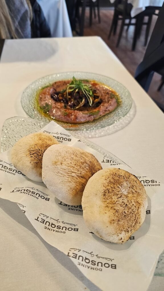 Vinícola em Mendoza: Domaine Bousquet.
Uma das entradas servidas na Domaine Bousquet, seguindo a pegada orgânica da casa: hoummos orgânico de frutas vermelhas!