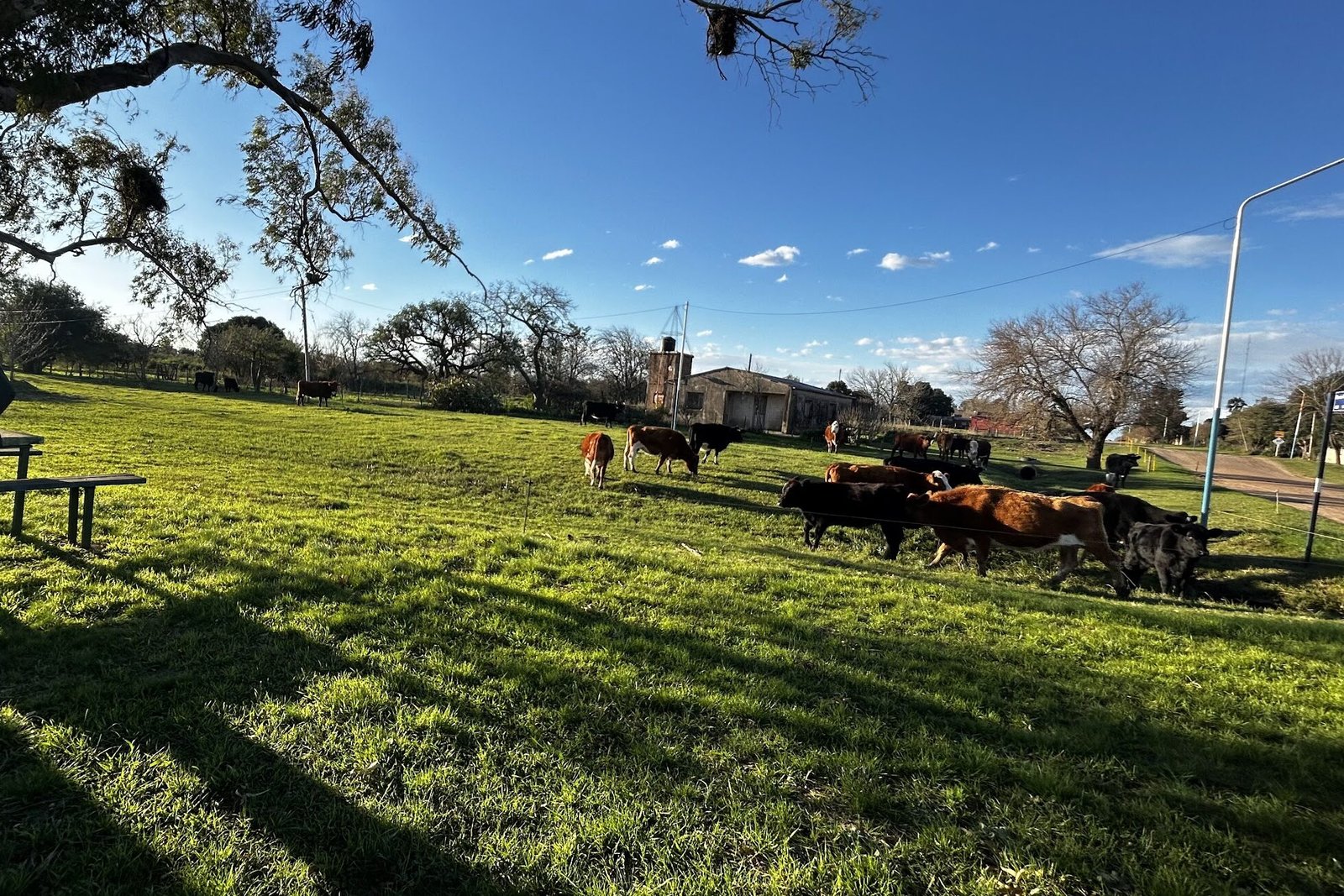 Argentina de carro - Paisagens bucólicas no trajeto.